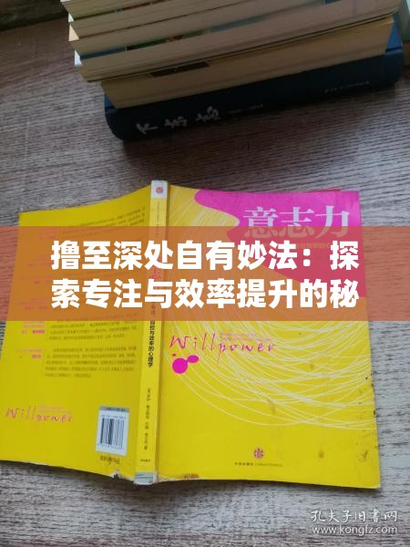 擼至深處自有妙法：探索專注與效率提升的秘籍，深度解析持續(xù)性能力之道